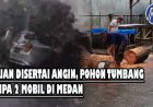 Hujan Disertai Angin, Pohon Tumbang Timpa 2 Mobil di Medan