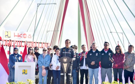 Presiden Jokowi Bentuk Satgas Percepatan Investasi di IKN, Ini Tugas Pokoknya
