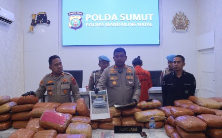 Dua Kurir Ganja 154 Kg Jaringan Antar Provinsi Diringkus Polisi di Madina