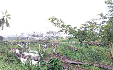 Wajah Kawasan Inti Pusat Pemerintahan (KIPP), Ibu Kota Nusantara (IKN), Kalimantan Timur.