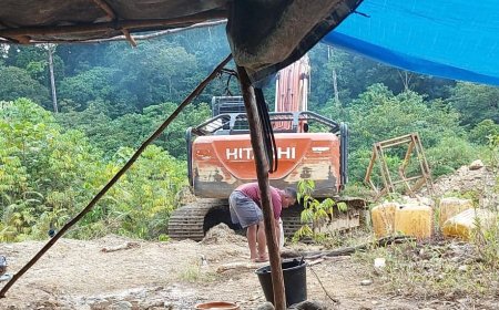 Diduga Kuat Aparat Desa Terlibat PETI di Dusun Aek Guo Batang Natal, Ini Harapan Warga Setempat