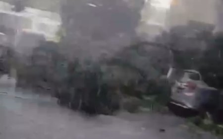 Hujan Deras dan Angin Kencang Landa Medan, 2 Mobil Ditimpa Pohon