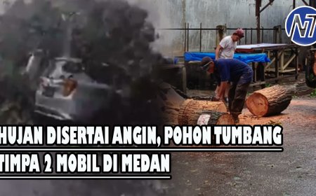 Hujan Disertai Angin, Pohon Tumbang Timpa 2 Mobil di Medan