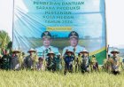Panen Raya Padi di Mabar Hilir, Bobby Nasution:  Ketahanan Pangan Program Kita Ke Depan