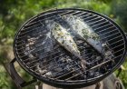 7 Makanan Ini Berfungsi Untuk Penambah Daya Ingat dan Kecerdasan