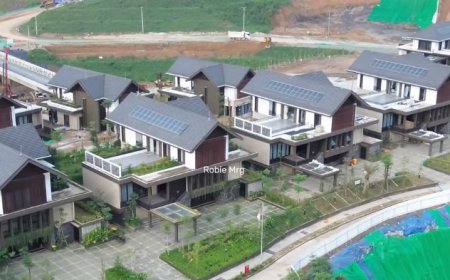 IKN Berbenah, Berikut Progres Pembangunan Rumah Menteri dan Istana Wapres