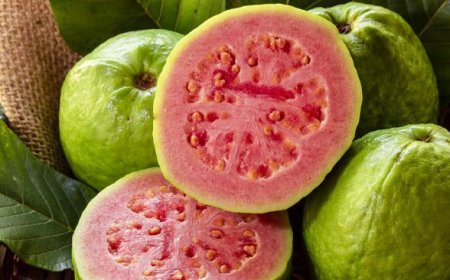 Ini 10 Buah Ini yang Ampuh Bakar Lemak Perut, Siap-siap Perut Jadi Rata