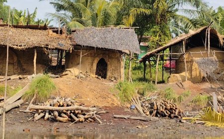 Dapur Arang Mangrove Beroperasi di Langkat, Padahal Sudah Ribuan Hektar Hutan Mangrove Rusak