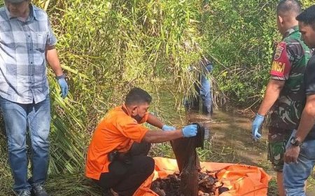 Warga Temukan Kerangka Manusia di Dalam Parit Kebun Kelapa di Batu Bara