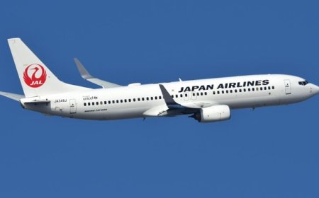 Jepang Tawarkan Terbang Gratis Keliling Negeri Sakura buat Turis RI