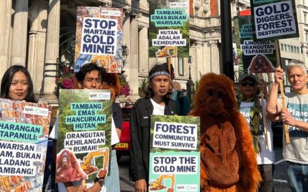 Gelar Protes di London, Walhi Tuntut Tanggung Jawab Kerusakan Habitat Orangutan Tapanuli