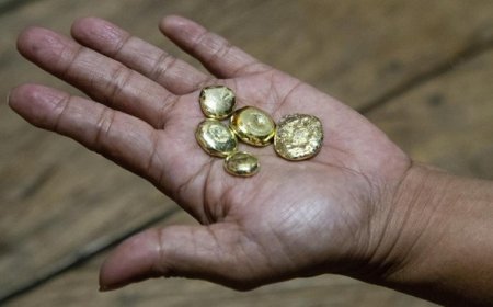 Ini Modus WNA China Gasak Tambang Emas 774 Kg, Bikin RI Rugi Rp1,02 T