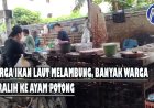 Harga Ikan Laut Melambung, Banyak Warga Beralih ke Ayam Potong