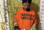Polisi Tangkap Warga Samosir Tanam Ganja dan Mengonsumsinya