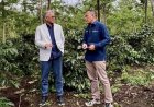 Tingkat Produktivitas Kebun Arabica, Palmco Bawa Java Coffe Kembali Mendunia