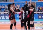 Klasemen Liga Voli Korea: Red Sparks di Puncak