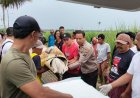 Pria di Situbondo Meninggal di Sawah, Diduga Minum Obat Tanpa Resep