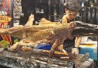 Ternyata Daging Buaya Jadi Makanan Populer dan Sumber Protein Alternatif
