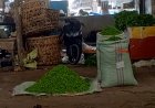 Harga Cabai Anjlok, Petani dan Pedagang Sumut Terpuruk Akibat Pasokan dari Jawa
