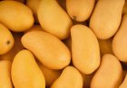 Buah Mangga, 7 Manfaatnya untuk Kesehatan