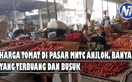 Update Bahan Pokok, Harga Tomat di Pasar MNTC Anjlok, Banyak yang Terbuang dan Busuk