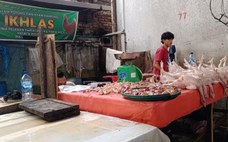 Harga Ikan Tawar Mahal, Masyarakat Beralih ke Ikan Laut dan Ayam