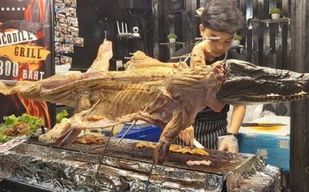 Ternyata Daging Buaya Jadi Makanan Populer dan Sumber Protein Alternatif