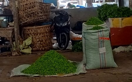 Harga Cabai Anjlok, Petani dan Pedagang Sumut Terpuruk Akibat Pasokan dari Jawa