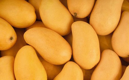 Buah Mangga, 7 Manfaatnya untuk Kesehatan