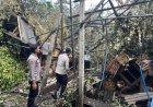 Satu Warga Tewas Tertimpa Pohon Tumbang saat Hujan Deras dan Angin Kencang Landa Blitar