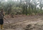 Ketahanan Pangan, Polsek Barumun Tengah Cek Tanaman dan Siapkan Kayu Penyokong Kacang Panjang