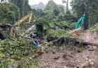 Walhi Sumut Desak Tindakan Konkret LPPPH untuk Menanggulangi Kerusakan Hutan