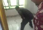 Serius Pleno Pilkada Buat Ketua PPK tak Sadar Ular Kobra Masuk ke Celananya