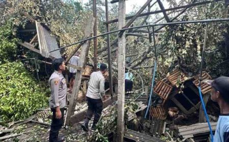 Satu Warga Tewas Tertimpa Pohon Tumbang saat Hujan Deras dan Angin Kencang Landa Blitar