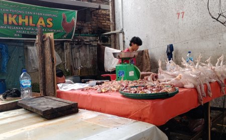Harga Ayam Melonjak, Pembeli Beralih ke Ikan Laut