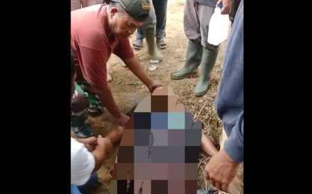 Kuasa Hukum Minta Polisi Tangkap Pelaku Penjarahan TBS dan Pembunuhan Sekuriti PT STA