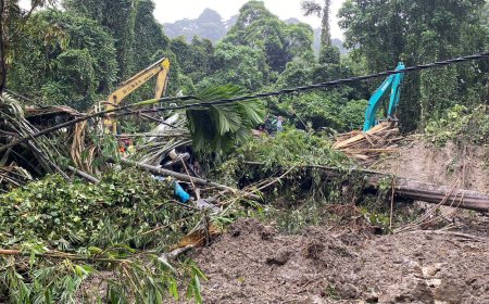 Walhi Sumut Desak Tindakan Konkret LPPPH untuk Menanggulangi Kerusakan Hutan