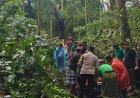 Dua WNA Tewas saat Berwisata, Ini Kata Polisi