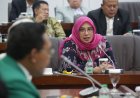 Wabah Penyakit Misterius Kongo, Komisi IX DPR Minta Pintu Masuk Pelancong Afrika Diperketat