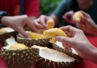 Darah Rendah Bolehkah Makan Durian?