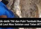 Detik-detik TNI dan Polri Tembaki Buaya yang Telan IRT di Nias Selatan