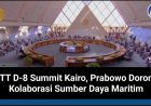 KTT D-8 Summit Kairo, Prabowo Dorong Kolaborasi Sumber Daya Maritim