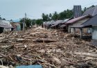Banjir Bandang di Tapsel: Walhi Sumut Sebut Ilegal Logging jadi Pemicu