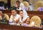 Serukan Semangat Baru Sambut Tahun 2025, Legislator: Bersama Membangun Indonesia Lebih Baik