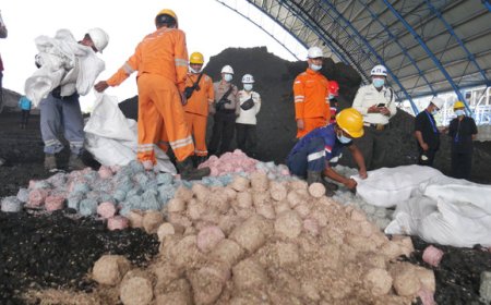 PLN Perbanyak Limbah Uang Kertas BI Jadi Bahan Bakar di PLTU: Kurangi Penggunaan Batu Bara