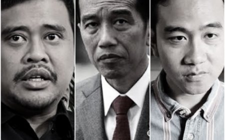PDIP Pecat Jokowi, Gibran, dan Bobby, Ini Kata Pengurus PDIP Sumut