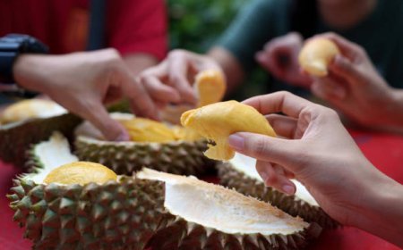 Darah Rendah Bolehkah Makan Durian?