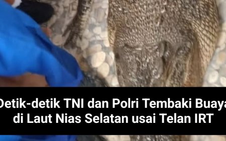 Detik-detik TNI dan Polri Tembaki Buaya yang Telan IRT di Nias Selatan