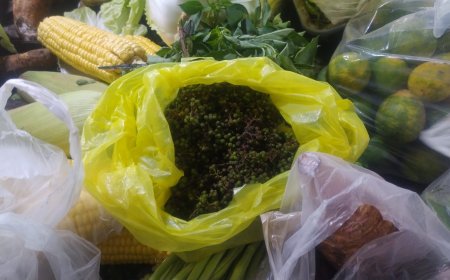 Natal Tetap Semarak meski Harga Andaliman di Pasar MMTC Tembus Rp 600 Ribu per Kg