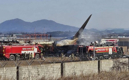 Pesawat Jeju Air Jatuh di Korsel, 28 Orang Tewas